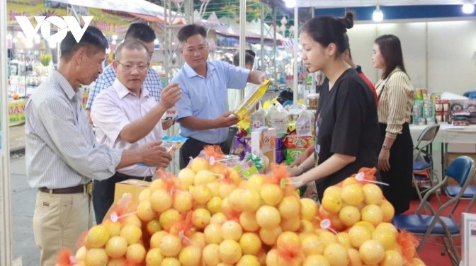 Vietnamese passion fruit is projected to make a significant contribution to the export turnover of fruit and vegetables in the near future