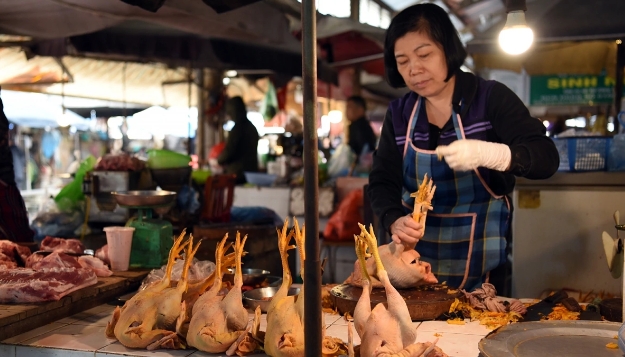 Nguyen Thi Oanh, a chicken seller based at Mai Dich market, says that since this morning, she has only sold a few dozen chickens. This year, the price of chicken is VND190,000 per kg.