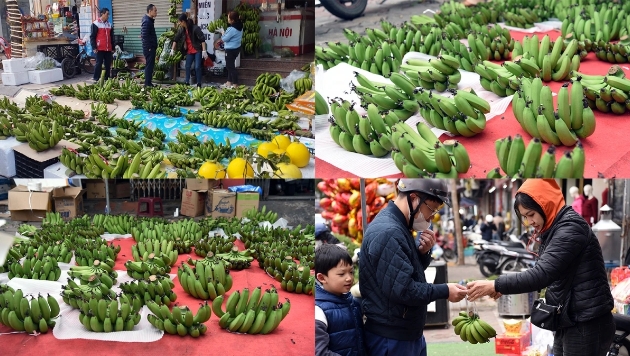 Meanwhile, banana prices this year see a sharp increase compared to last year due to the impact of Yagi super typhoon. A bunch of green bananas for Tet costs from VND60,000 to VND80,000.