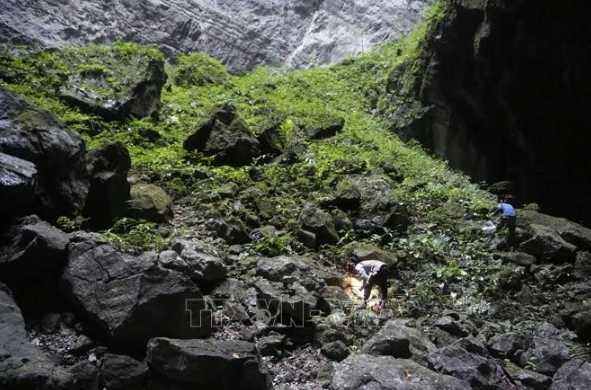Vietnamese scientists have discovered a new snail species in Son Doong Cave