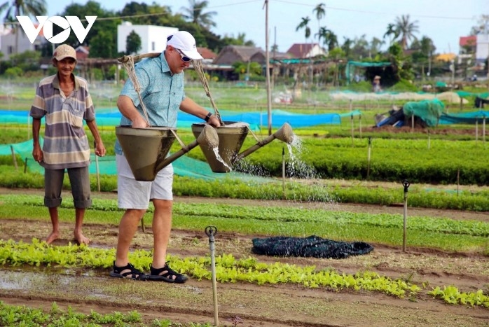 Tra Que vegetable village in Hoi An is a famous destination among many foreign tourists who come to enjoy vegetable farming experience.
