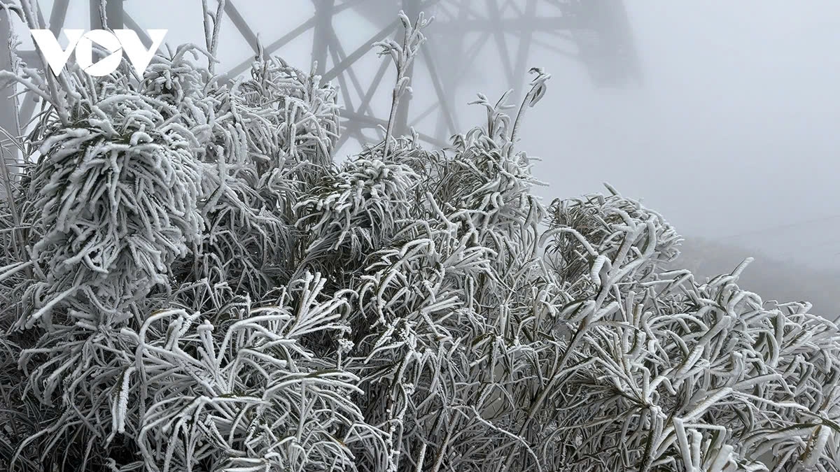 A strong cold spell is likely to cause snowfall in mountainous areas this weekend