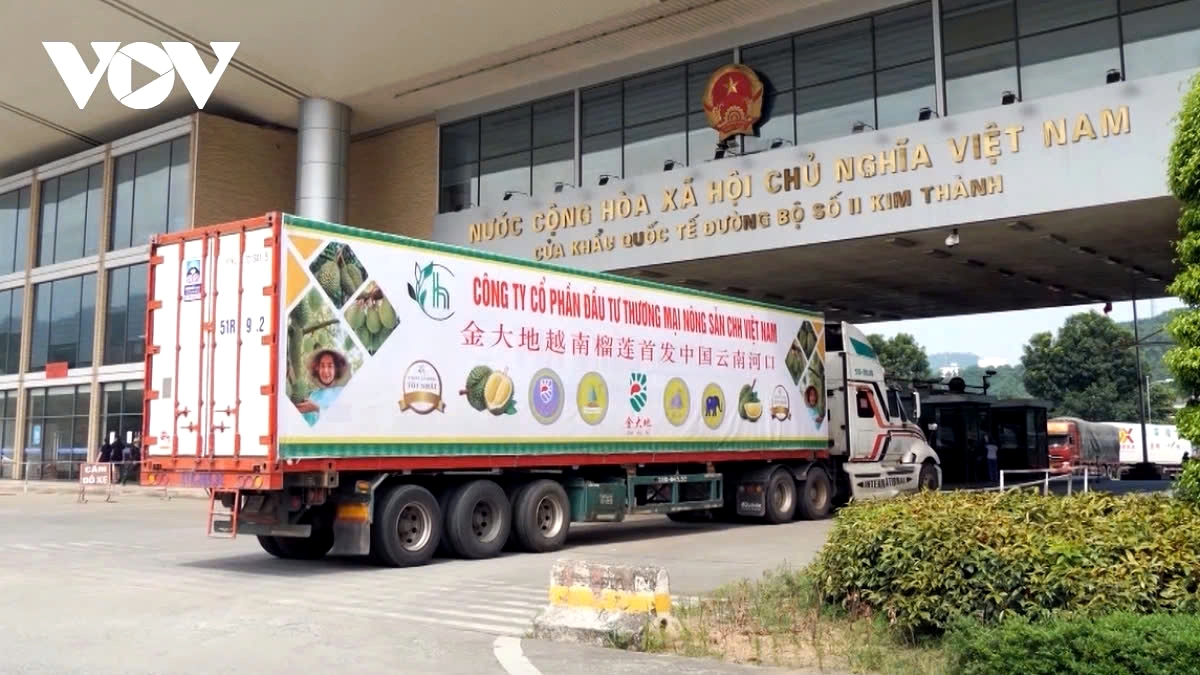 A truck carrying Vietnamese durian is passing through Kim Thanh international border gate into China