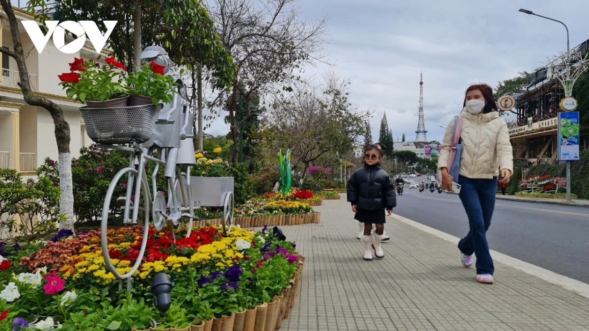 Part of a major flower street in Da Lat
