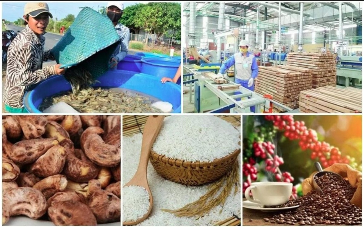 Vietnamese agricultural products to the Netherlands have enjoyed preferential tax rates right after the EVFTA comes into effect. 