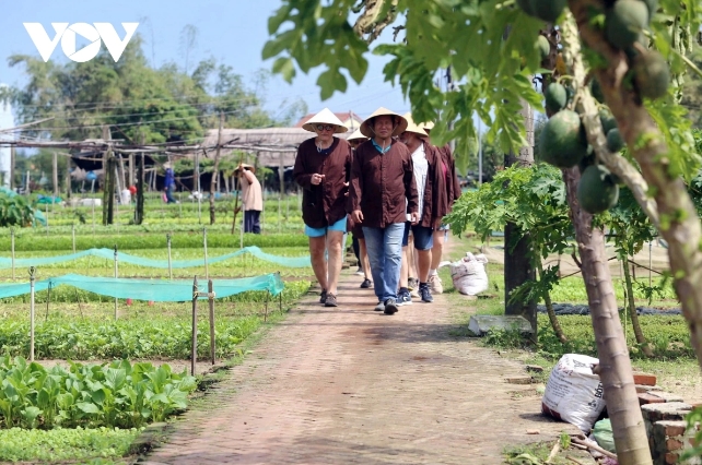 Guests enjoy a visit to Tra Que Vegetable Village, which was honoured as one of the best tourism villages in 2024 by the United Nations (UN) Tourism.