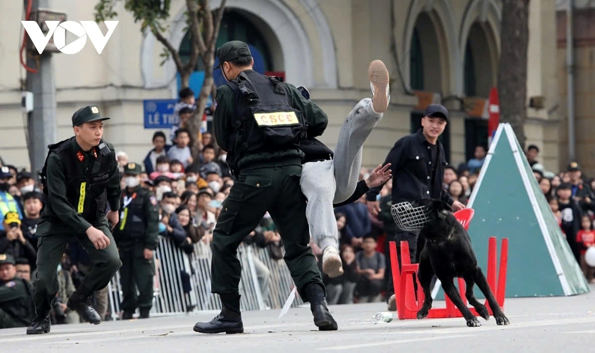 Officers demonstrate martial arts techniques for apprehending criminals, skillfully coordinating with trained dogs. The performance showcases precise hand-to-hand combat maneuvers, tactical takedowns, and the seamless collaboration between handlers and police dogs in subduing suspects.