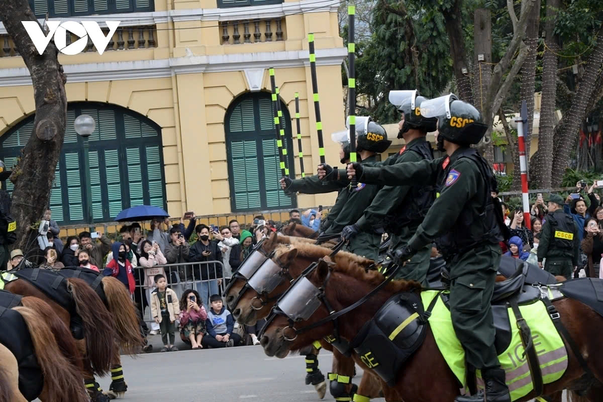 The Cavalry Mobile Police force uses Mongolian dwarf horses, which are well-adapted to Vietnam's climate and terrain and possess remarkable endurance in combat situations.