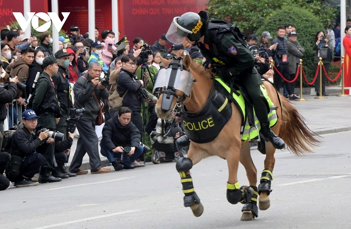 Spectators are particularly captivated by the seamless coordination between the riders and their mounts, demonstrating the force's rigorous training and professionalism.