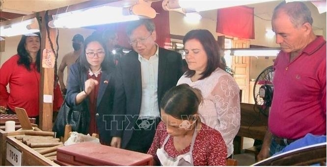 Ambassador Le Quang Long observes the meticulous hand-rolling of cigars, a traditional craft preserved for generations in Cuba. (Photo: VNA)