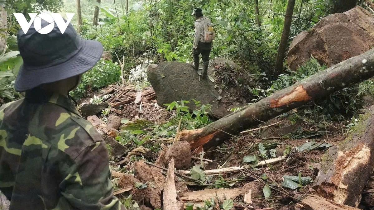 An earthquake triggers landslides in Quang Nam province in late 2025