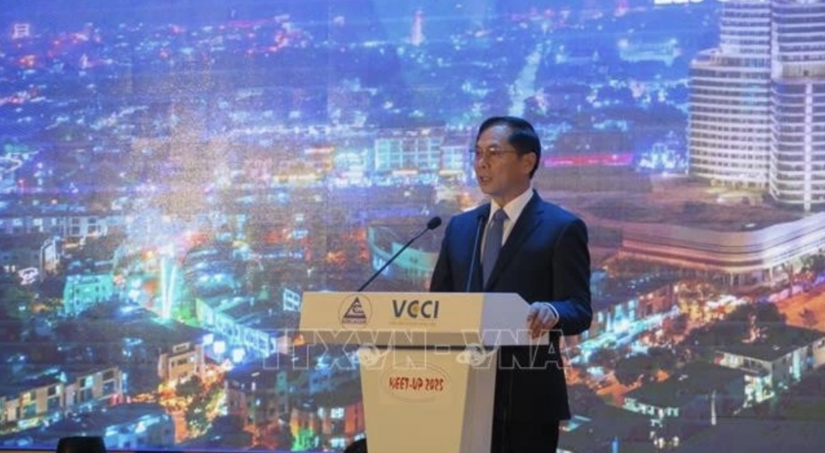 Deputy Prime Minister and Minister of Foreign Affairs Bui Thanh Son speaks at the event (Photo: VNA)