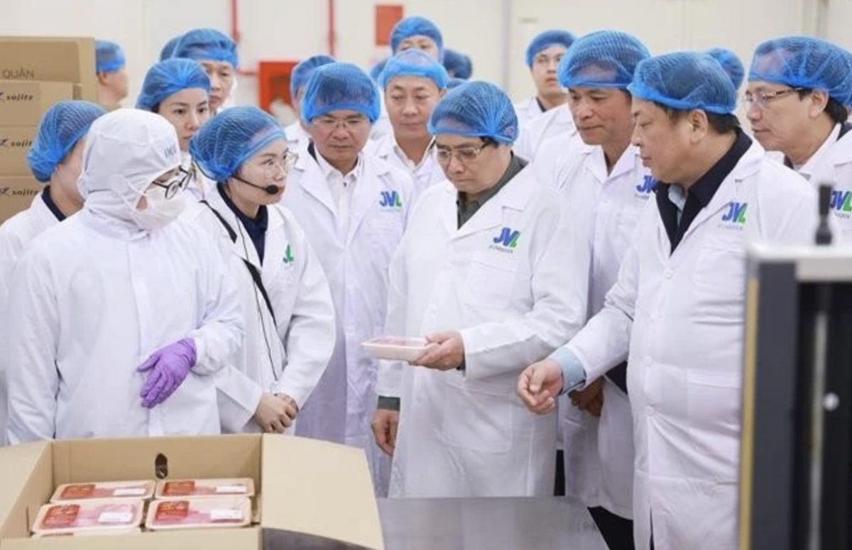 Prime Minister Pham Minh Chinh visits the Tam Dao livestock and beef processing complex project in Vinh Phuc (Photo: VNA)