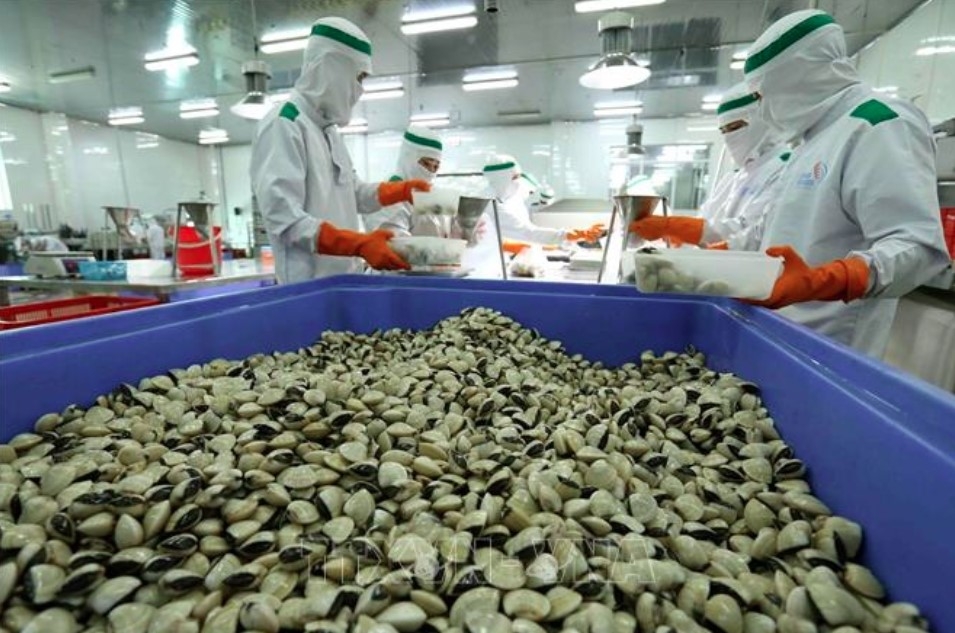 Export of shellfish, crab &amp; other crustaceans increase sharply by 118% in January 