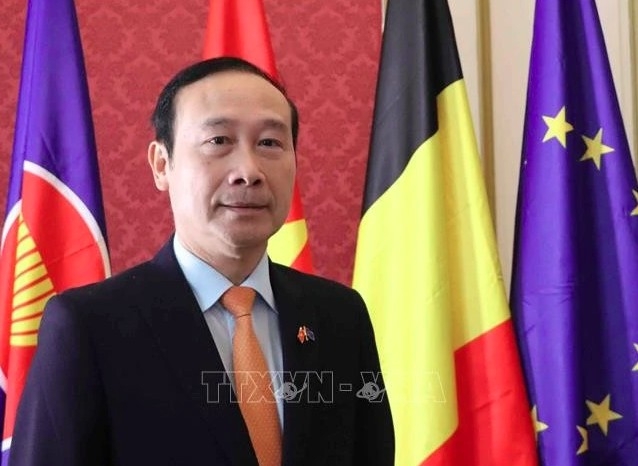 Vietnamese Ambassador to Belgium Nguyen Van Thao. (Photo: VNA)