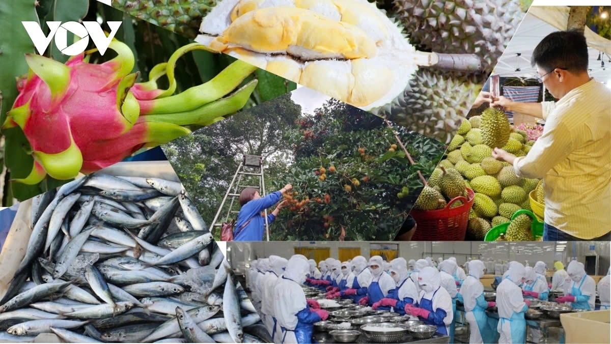 Vietnam aims to secure the 12% export growth and produce a trade surplus of US$30 billion in 2025.