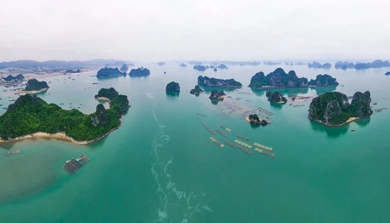A view of Bai Tu Long Bay (Photo: baoquangninh.vn)
