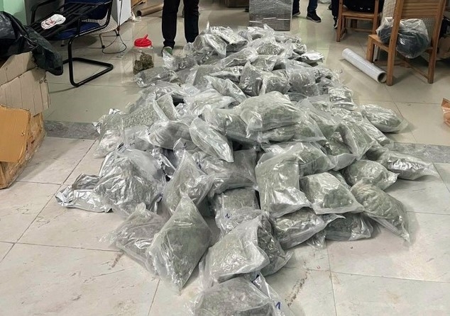 Packages of marijuana are seized in a transnational drug trafficking ring (Photo:tienphong.vn)