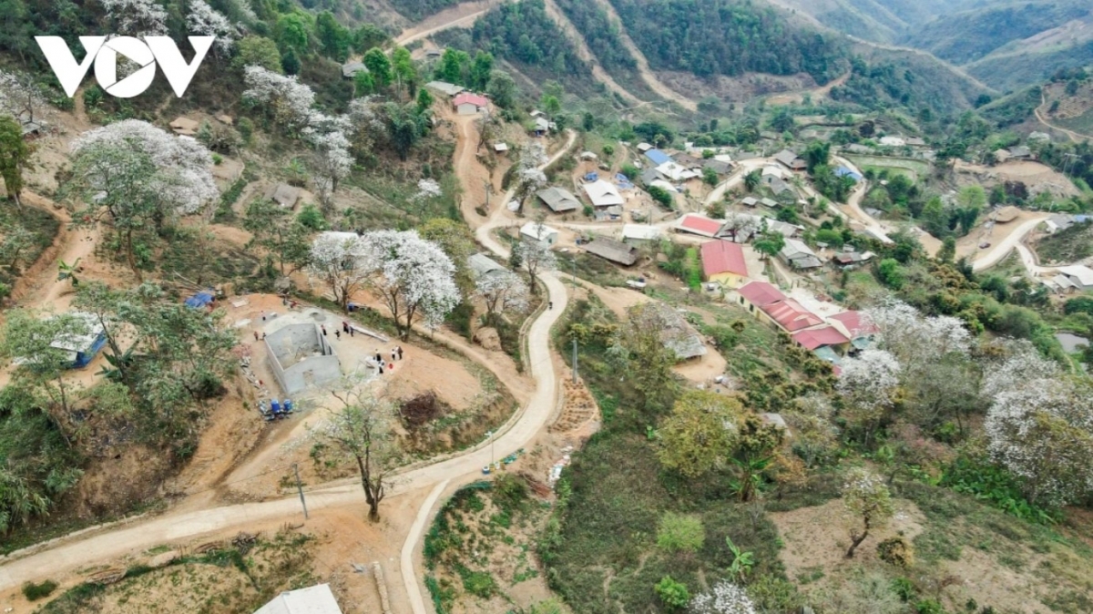 Ban flowers make the northwestern region a place worth visiting in March.