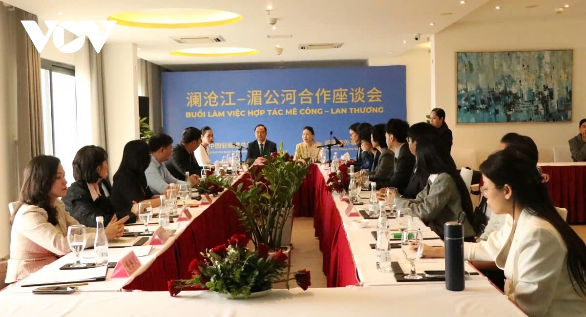 Delegates attend the seminar in Da Nang on March 21 to review the Mekong-Lancang Cooperation