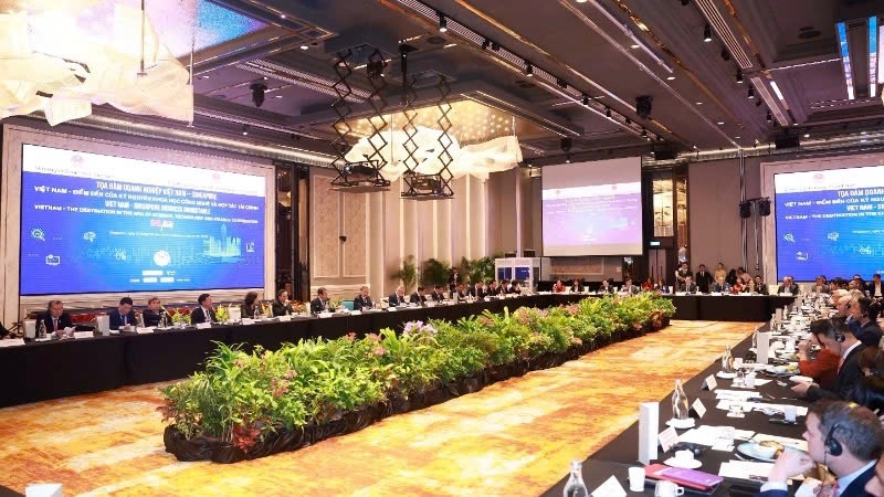 More than 100 businesses from Singapore and Vietnam operating in various sectors attend the business roundtable on March 13