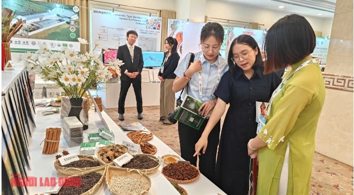 A Vietnamese booth at the VIPO 2025 (Photo: nld.com.vn)