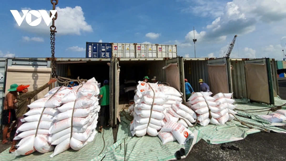 Vietnam has exported 1.15 million tonnes of rice in the first two months of 2025, but imported up toi 1.24 million tonnes of paddy rice from overseas. (Illustration)