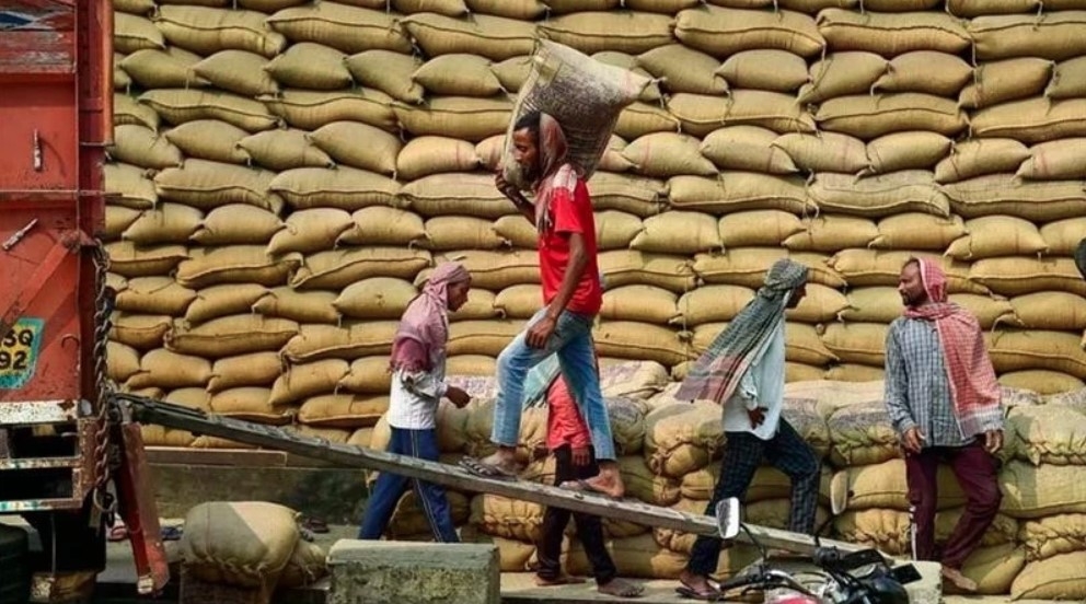 Workers transport rice at a warehouse in Jalandhar city, India. (Photo: ANI/VNA)