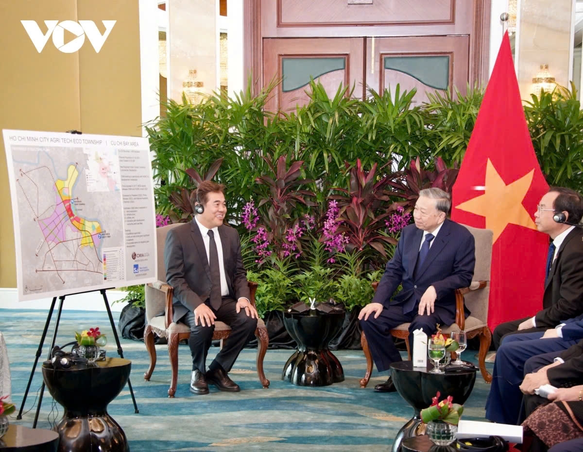 Party General Secretary To Lam and Chairman of the Singapore Business Federation Lim Ming Yan during the meeting in Singapore on March 11