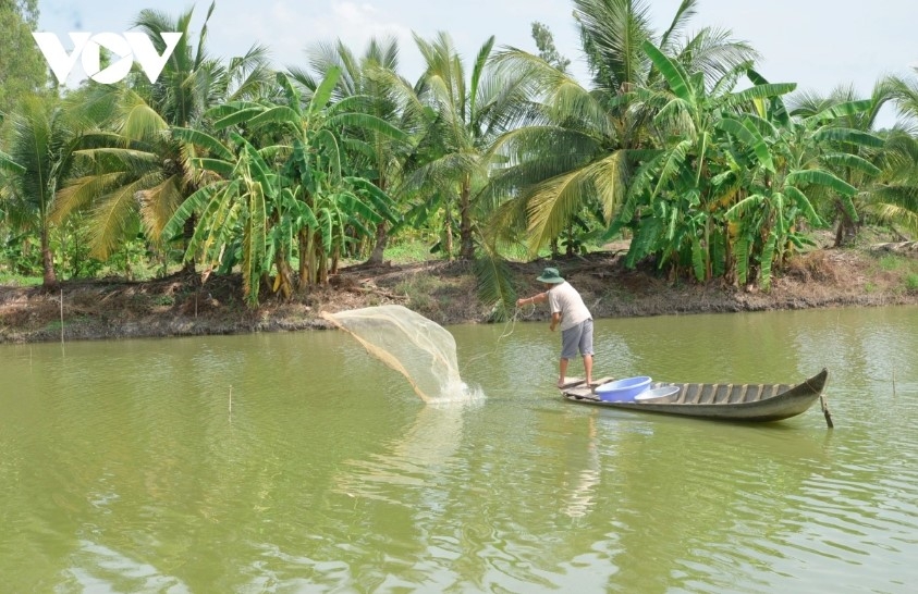 Vietnam's shrimp farming area spans approximately 750,000 hectares