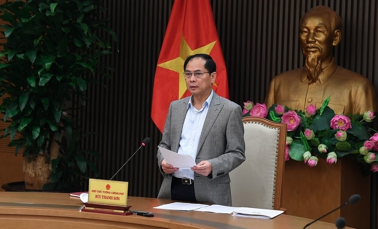 Deputy Prime Minister Bui Thanh Son speaks at the meeting (Photo:VGP)