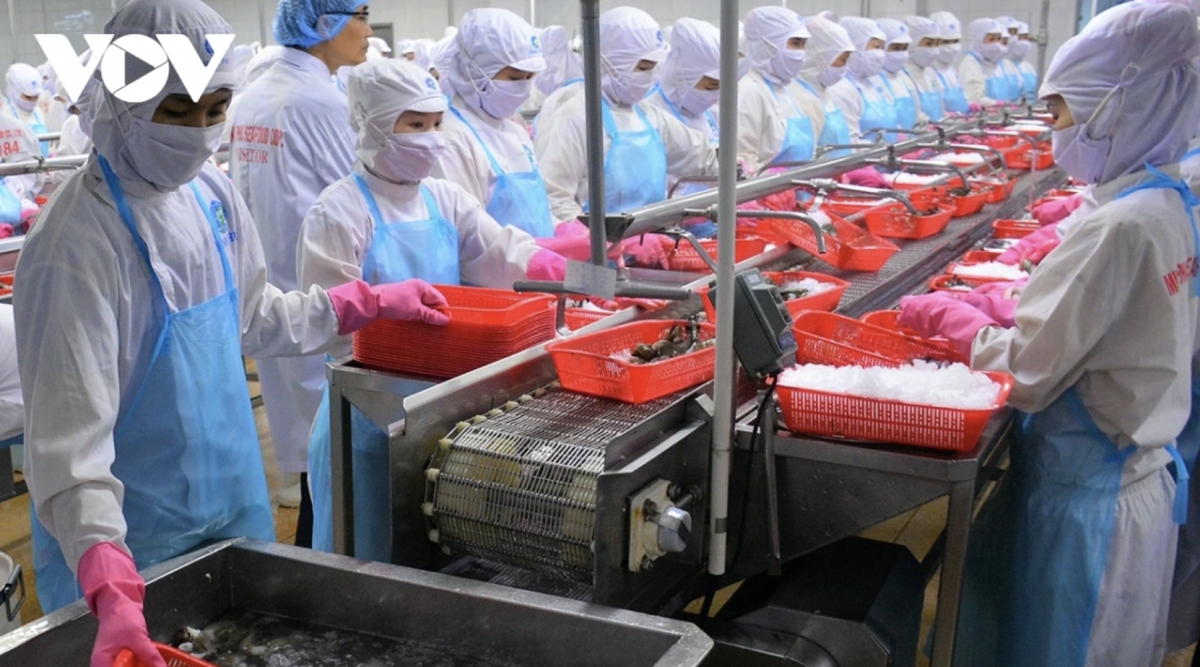 Bright prospects for shrimp exports amid trade challenges