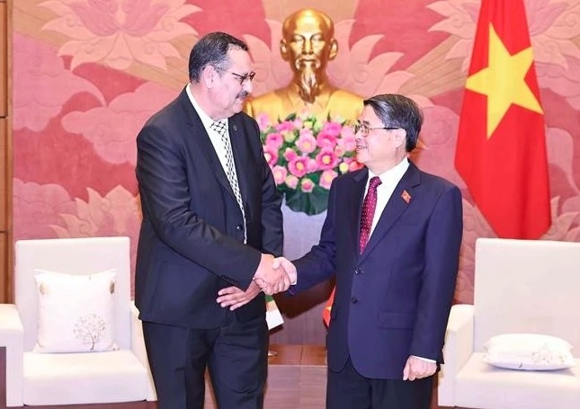National Assembly Vice Chairman Nguyen Duc Hai (R) welcomes Chairman of the Algeria-Vietnam Friendship Parliamentarians’ Group Salah Djegloul (Photo: VNA)