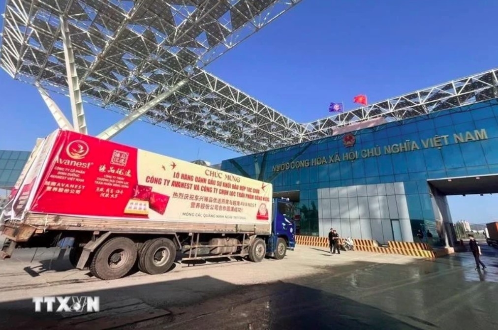 The first shipment of bird’s nests exported to China via Bac Luan II Bridge border gate in Mong Cai, Quang Ninh
