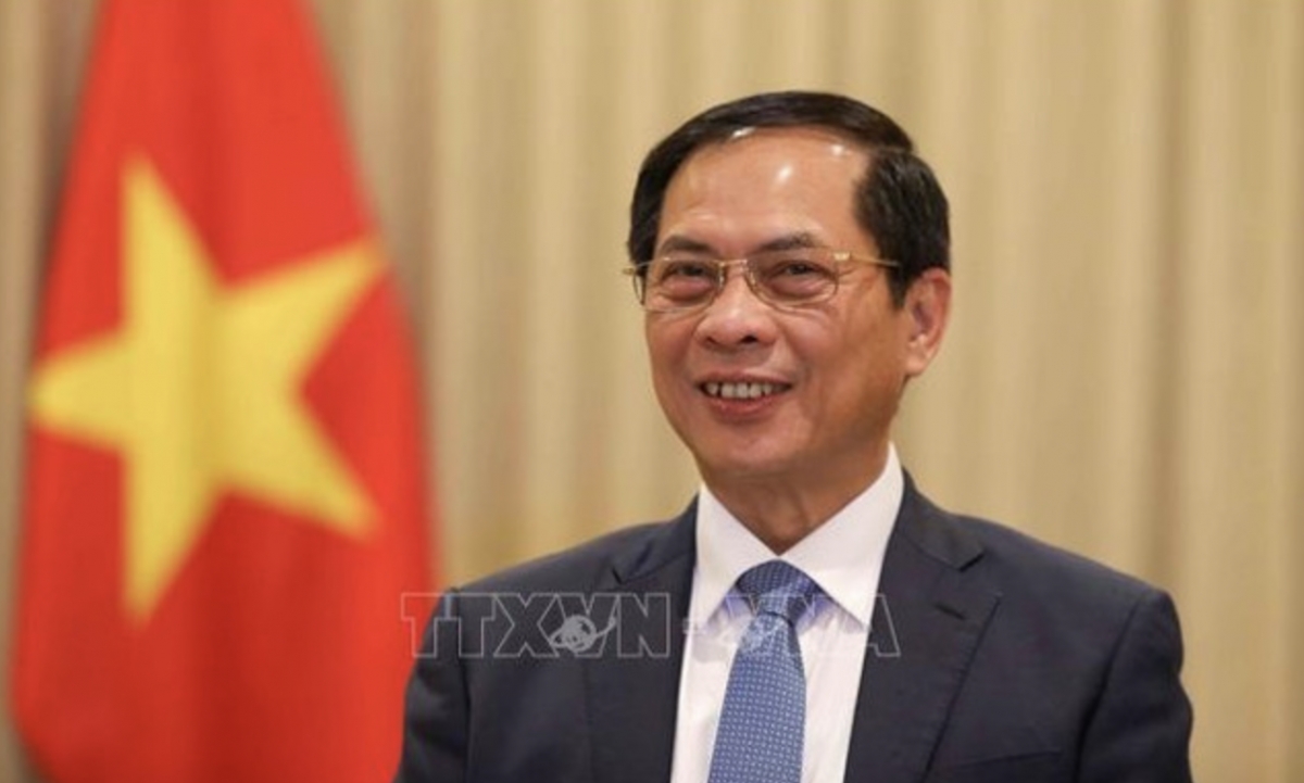 Deputy Prime Minister and Foreign Affairs Minister Bui Thanh Son (Photo: VNA)