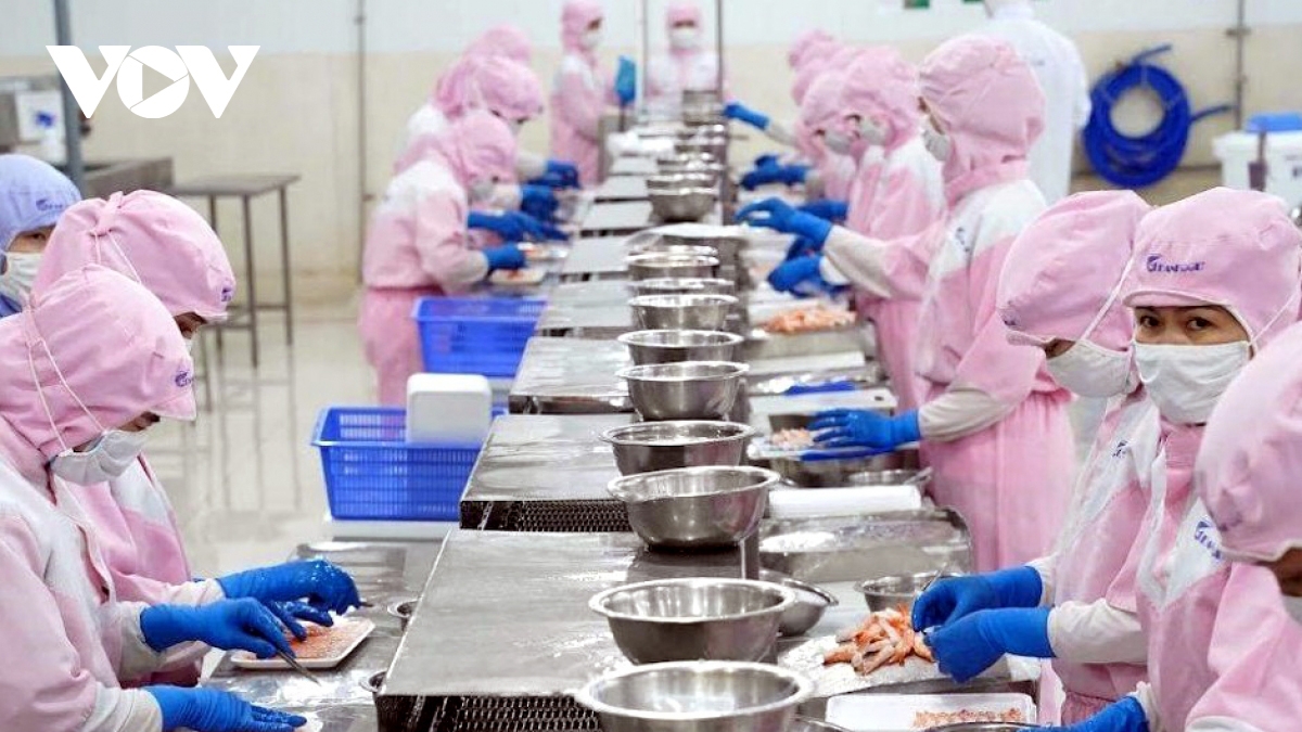 The US is currently Vietnam's largest export market, accounting for 20% of the country's total seafood exports.