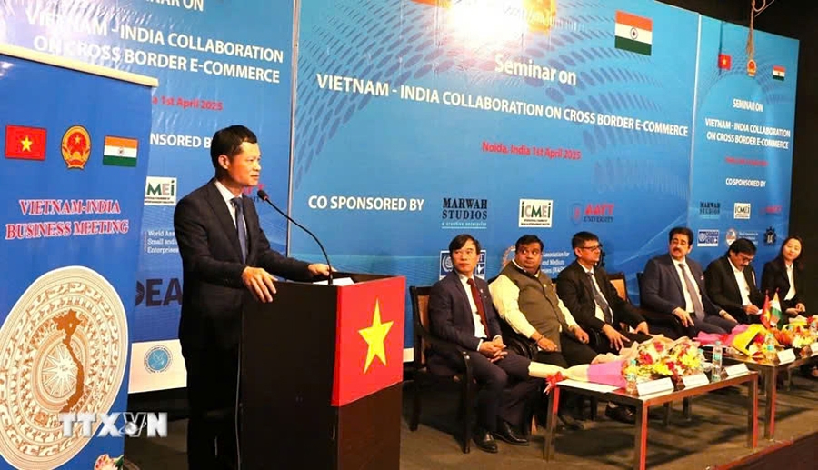 Do Quoc Hung, deputy director general of the Department of Foreign Market Development under the Ministry of Industry and Trade of Vietnam speaks at the seminar. (Photo: VNA)