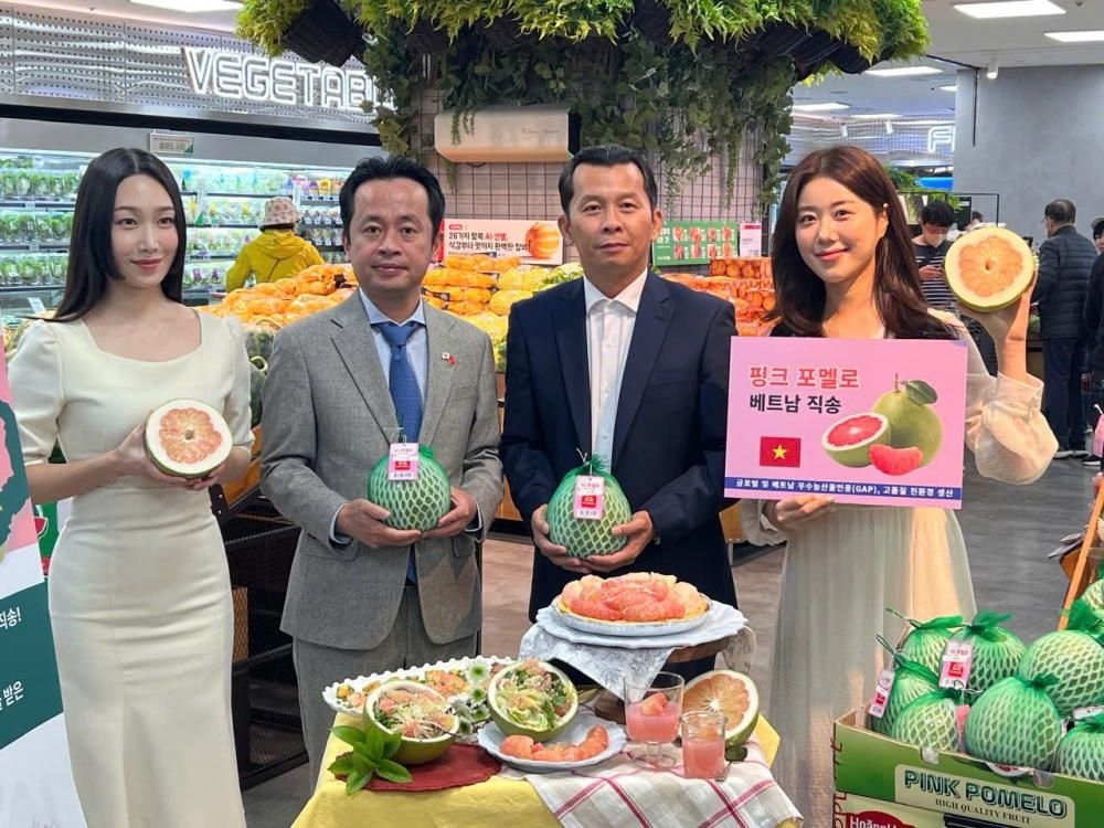Vietnamese pomelo is now available for sale at Lotte Mart supermarket chain in the Republic of Korea (Photo: congthuong.vn)