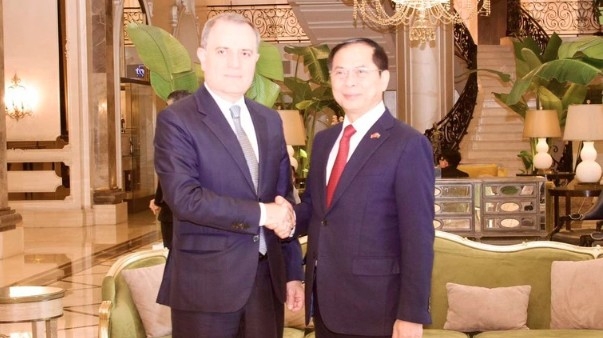 Deputy Prime Minister Bui Thanh Son meets with Azerbaijani Foreign Minister Jeyhun Bayramov