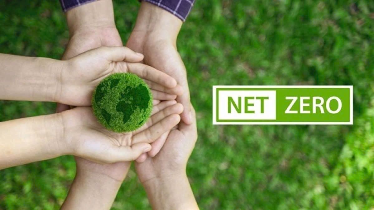 Green transition – an inevitable trend for small and medium sized enterprises. (Illustration)