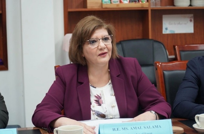 Egyptian Ambassador to Vietnam Amal Salama
