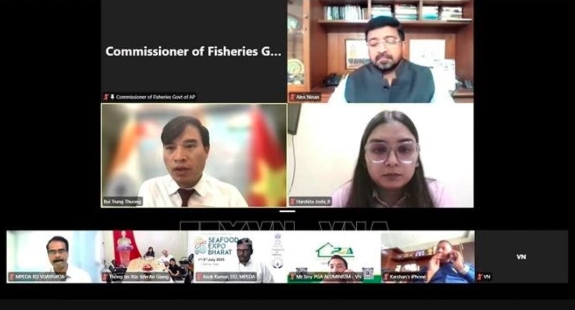 Participants in the online seminar (Screenshot photo: VNA)