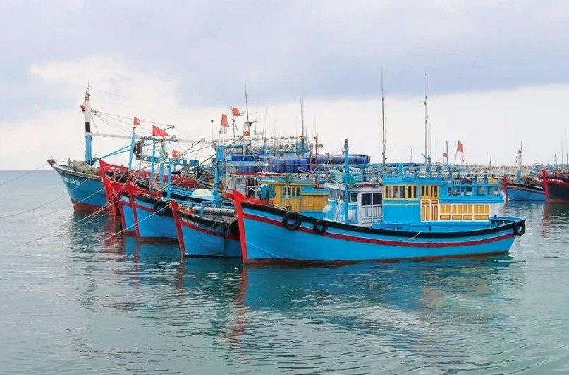 Ben Tre strengthens fisheries control at fishing ports.