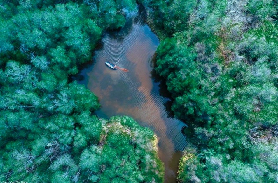 A photo of a mangrove forest in Tra Vinh by Cao Thi Ngoc Diem