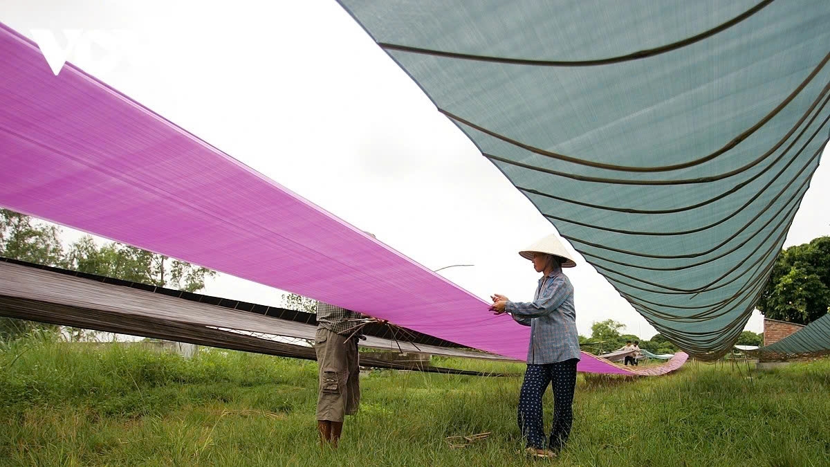 The craft provides a steady income, about VND8 - 10 million/month/person, with most households employing multiple locals.