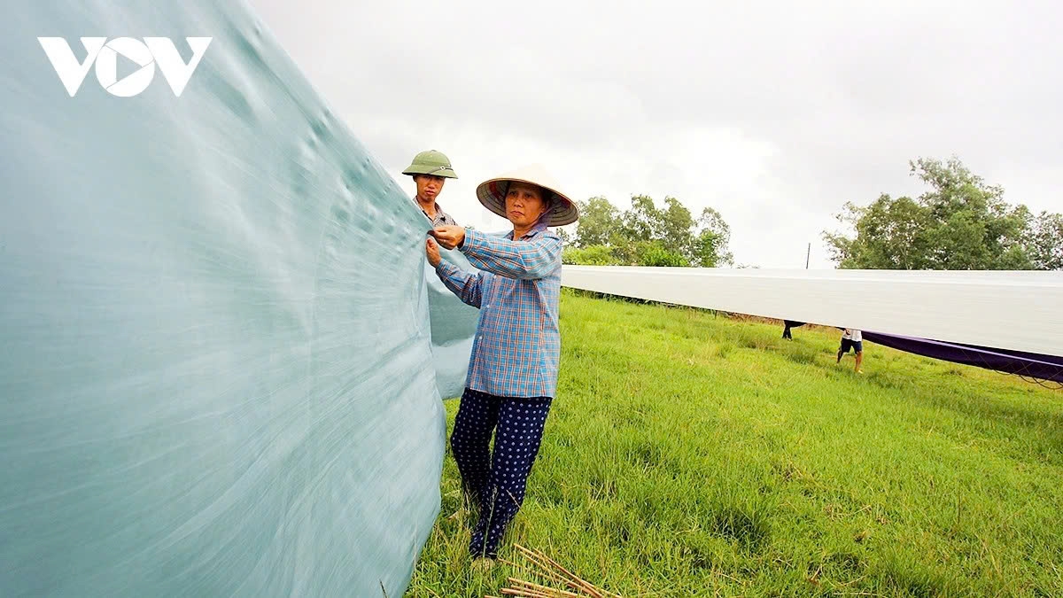 Products are sold in major Vietnamese cities such as Hanoi, Hue, Da Nang, Ho Chi Minh City, and exported to Laos, Thailand, Japan, and parts of Europe.