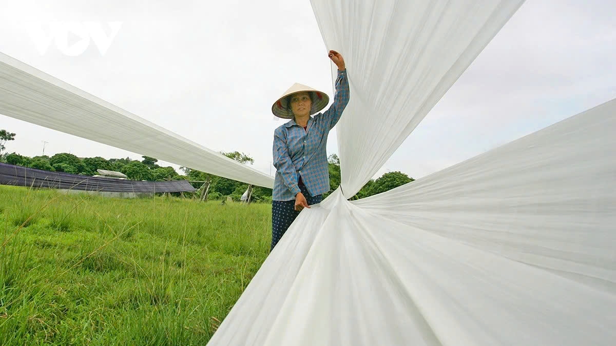 The village peaked in the early 20th century as Vietnam’s second-largest silk producer. After a decline post-1980s, the craft has bounced back thanks to mechanization and broader market access.