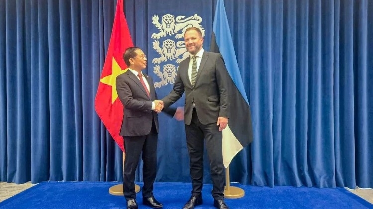 Deputy PM and Foreign Minister Bui Thanh Son meets with Estonian Foreign Minister Margus Tsahkna (Photo: The World &amp; Vietnam Report)