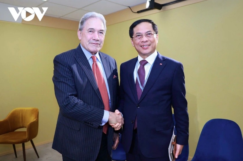 Deputy Prime Minister and Minister of Foreign Affairs Bui Thanh Son (right) meets with New Zealand Foreign Minister Winston Peters 