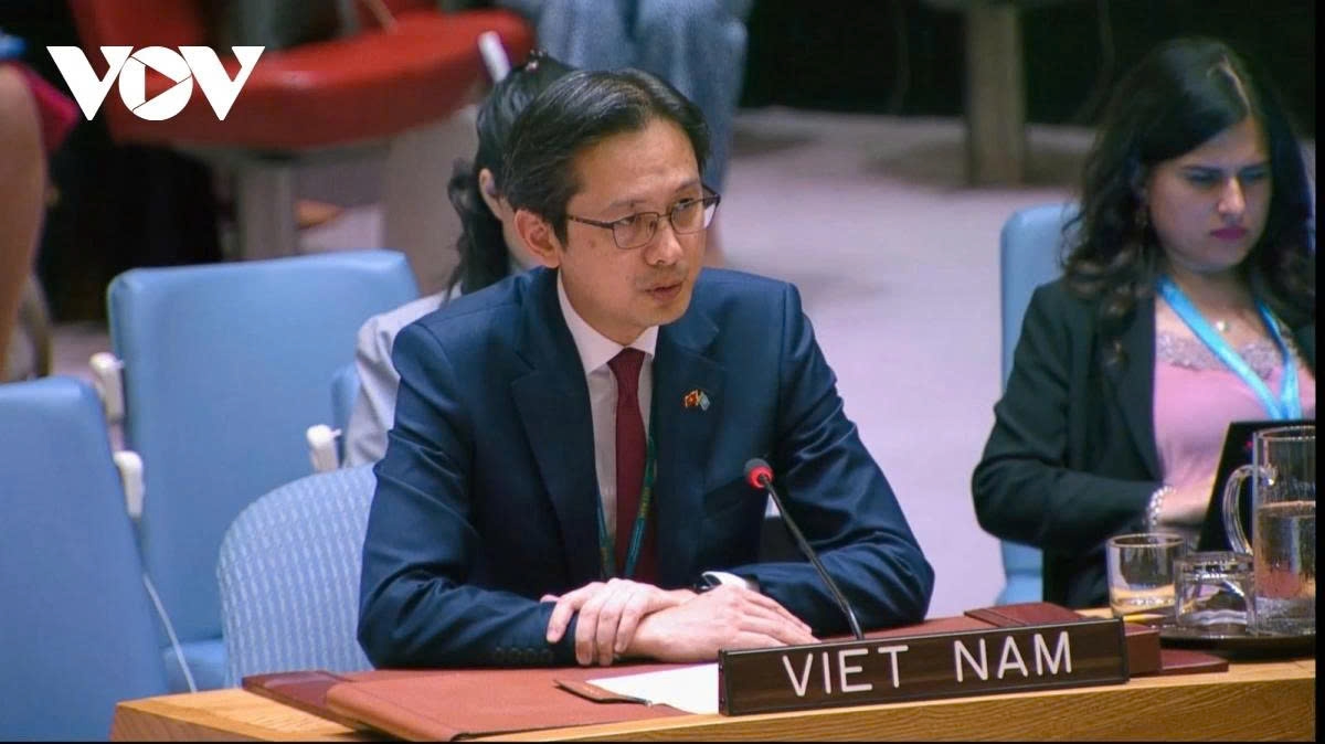 Ambassador Do Hung Viet, Permanent Representative of Vietnam to the United Nations